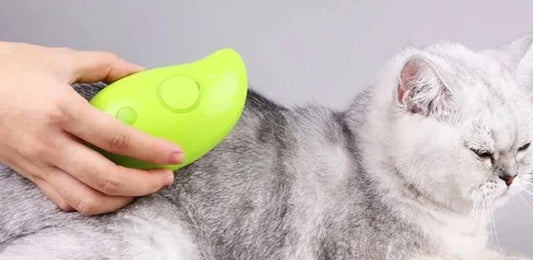 Pet Brush